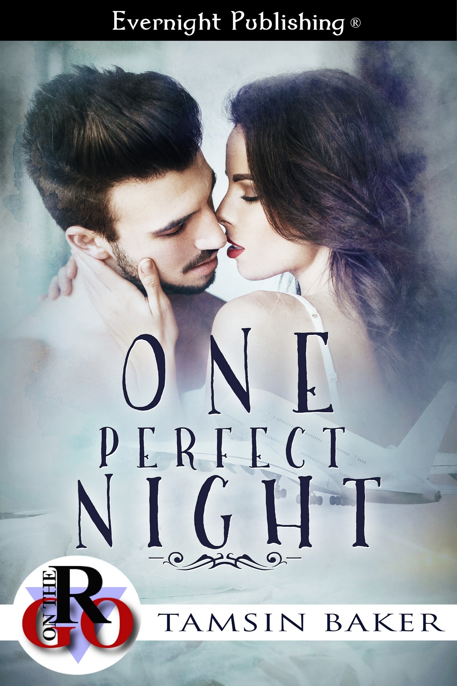 One Perfect Night book cover