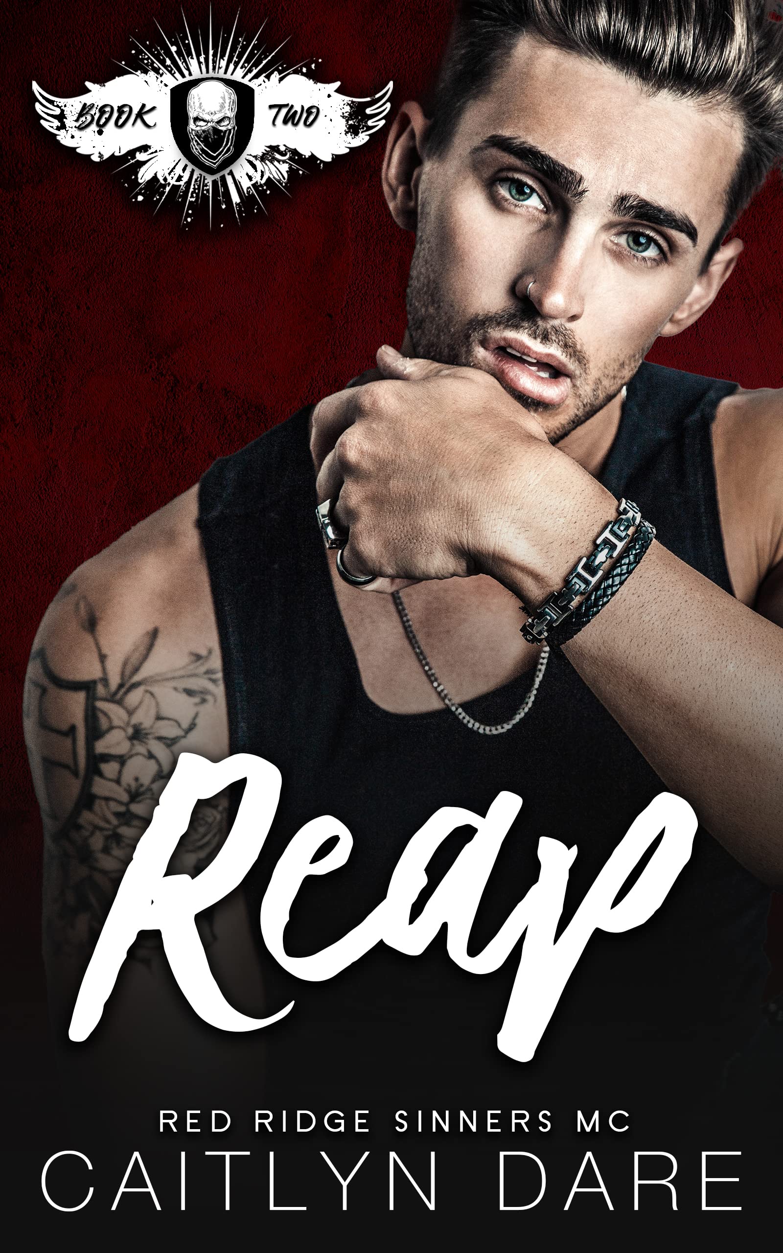 Red Ridge Sinners MC book cover 3