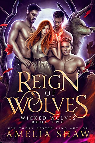 Wicked Wolves book cover 2