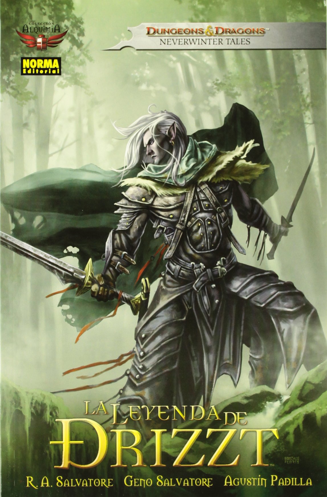 LA LEYENDA DE DRIZZT book cover