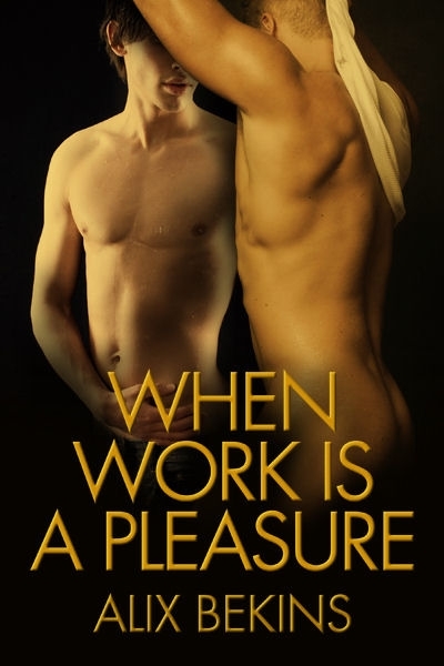 When Work is a Pleasure book cover