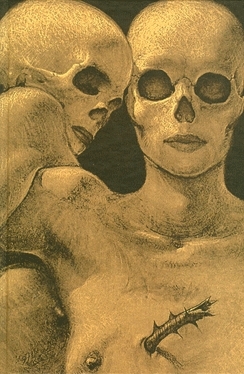 The Terrible Changes book cover