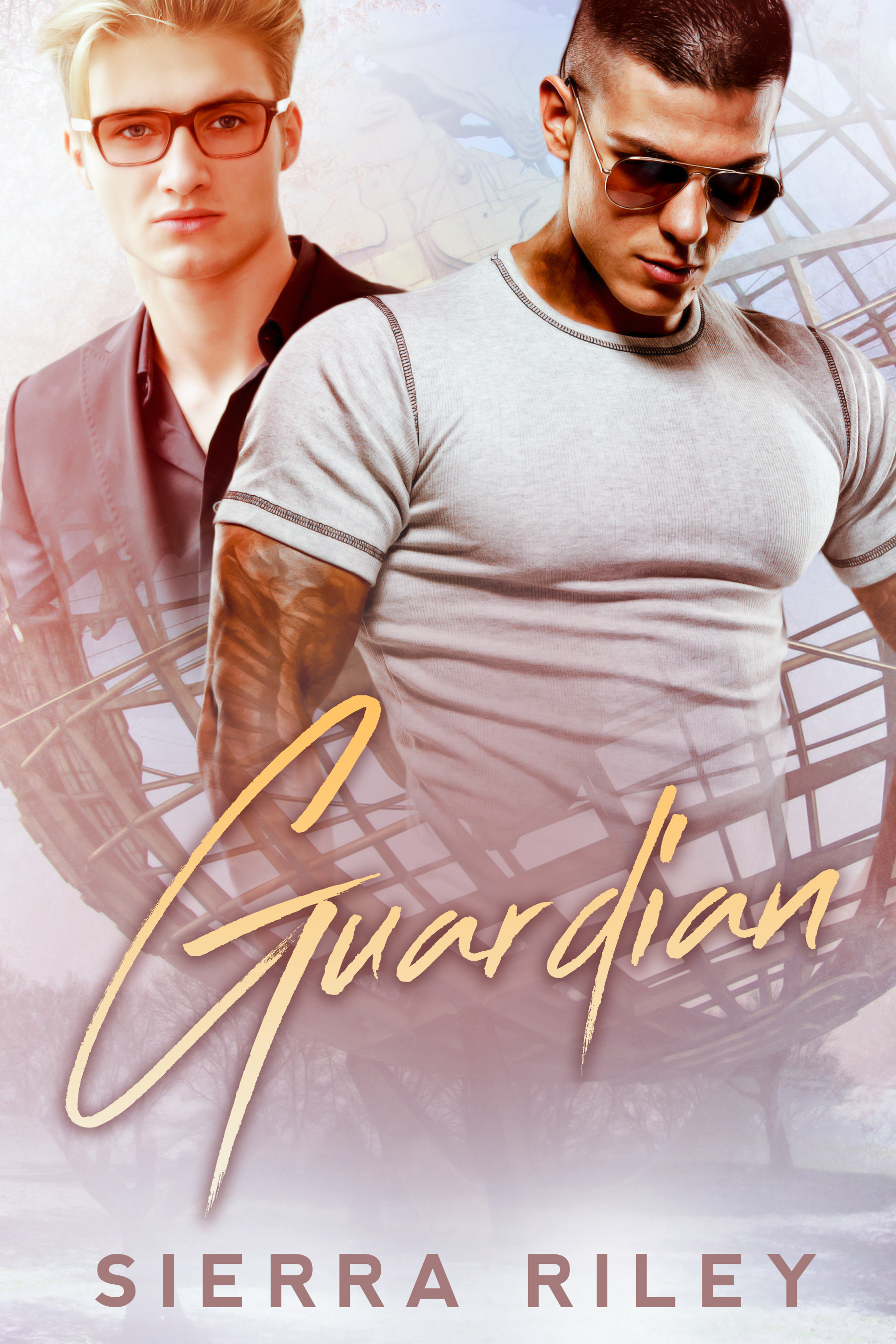 Guardian book cover