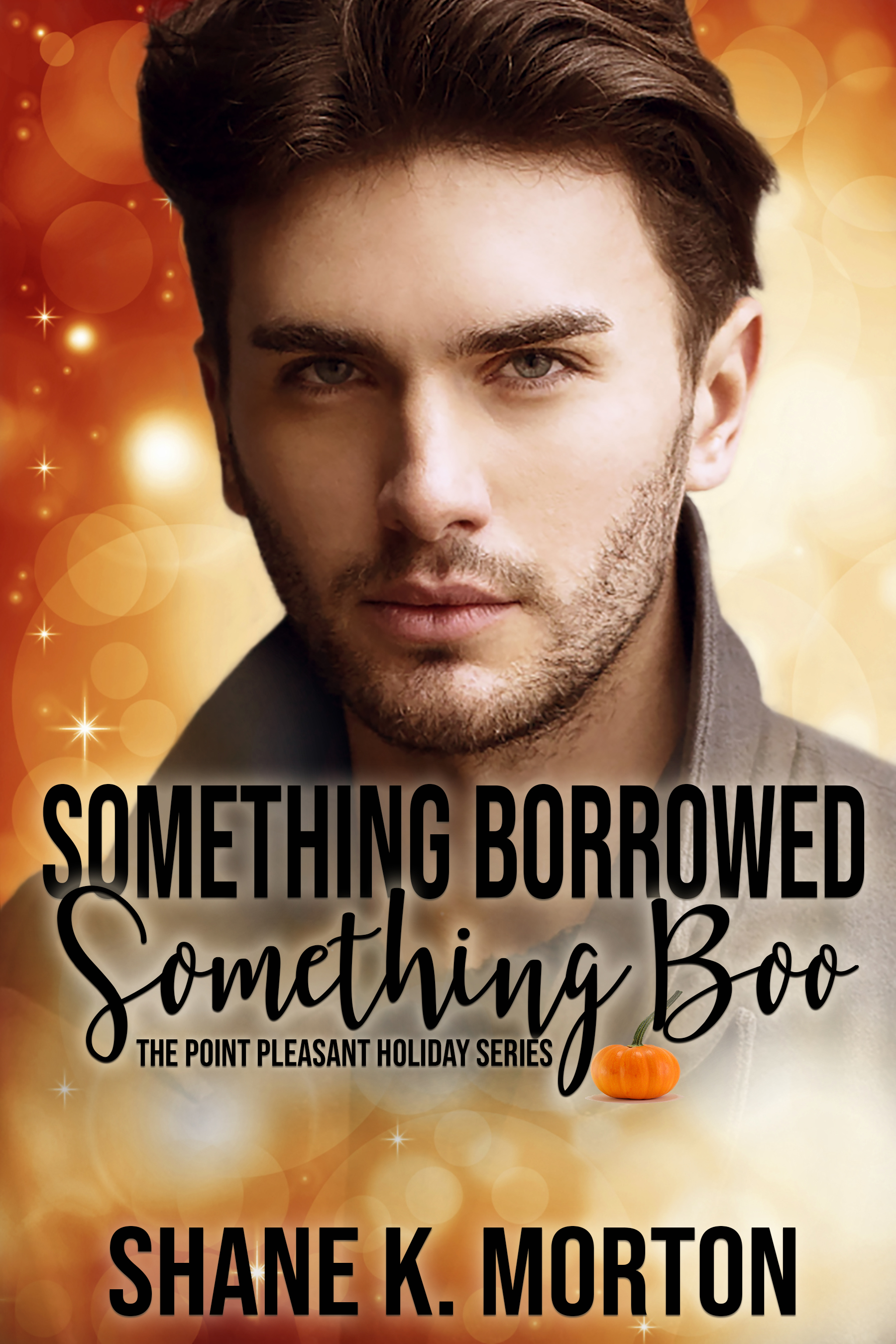 Point Pleasant Holiday book cover 1