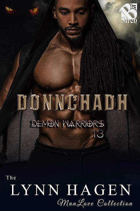 Donnchadh book cover