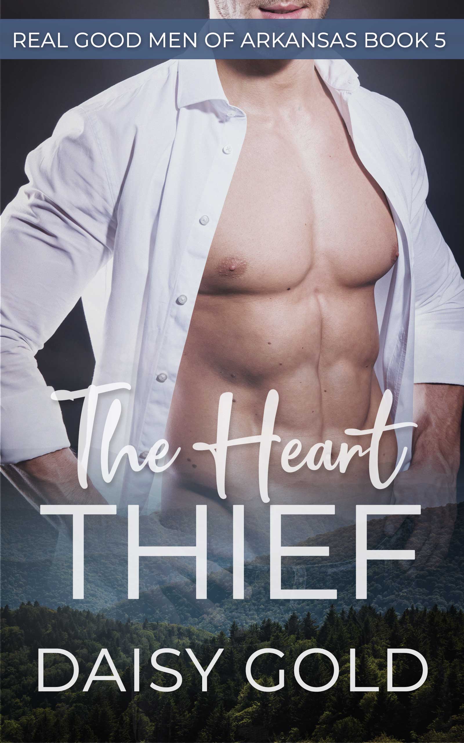 The Heart Thief book cover