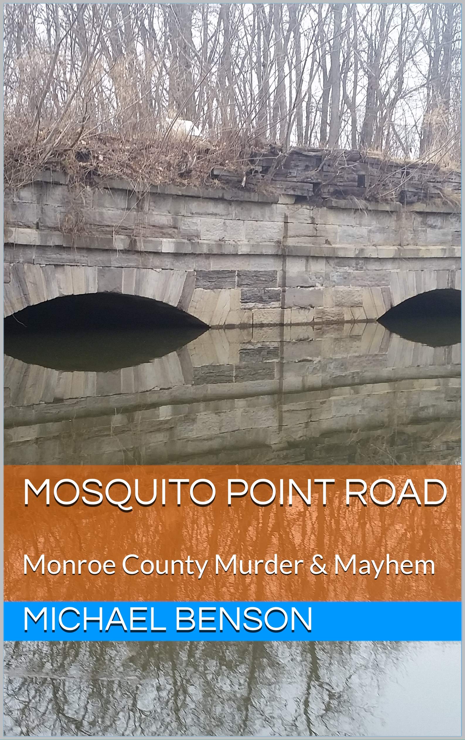 MOSQUITO POINT ROAD book cover