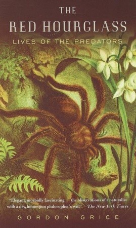 The Red Hourglass book cover