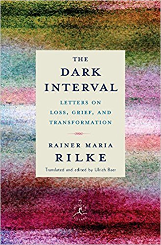 The Dark Interval book cover