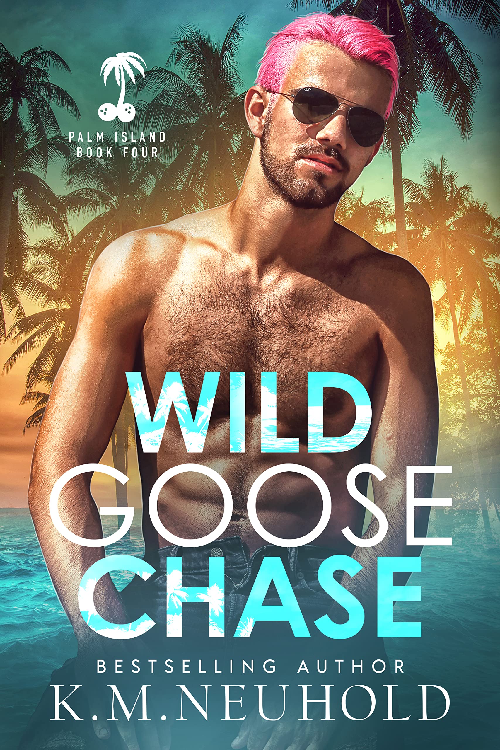 Wild Goose Chase book cover