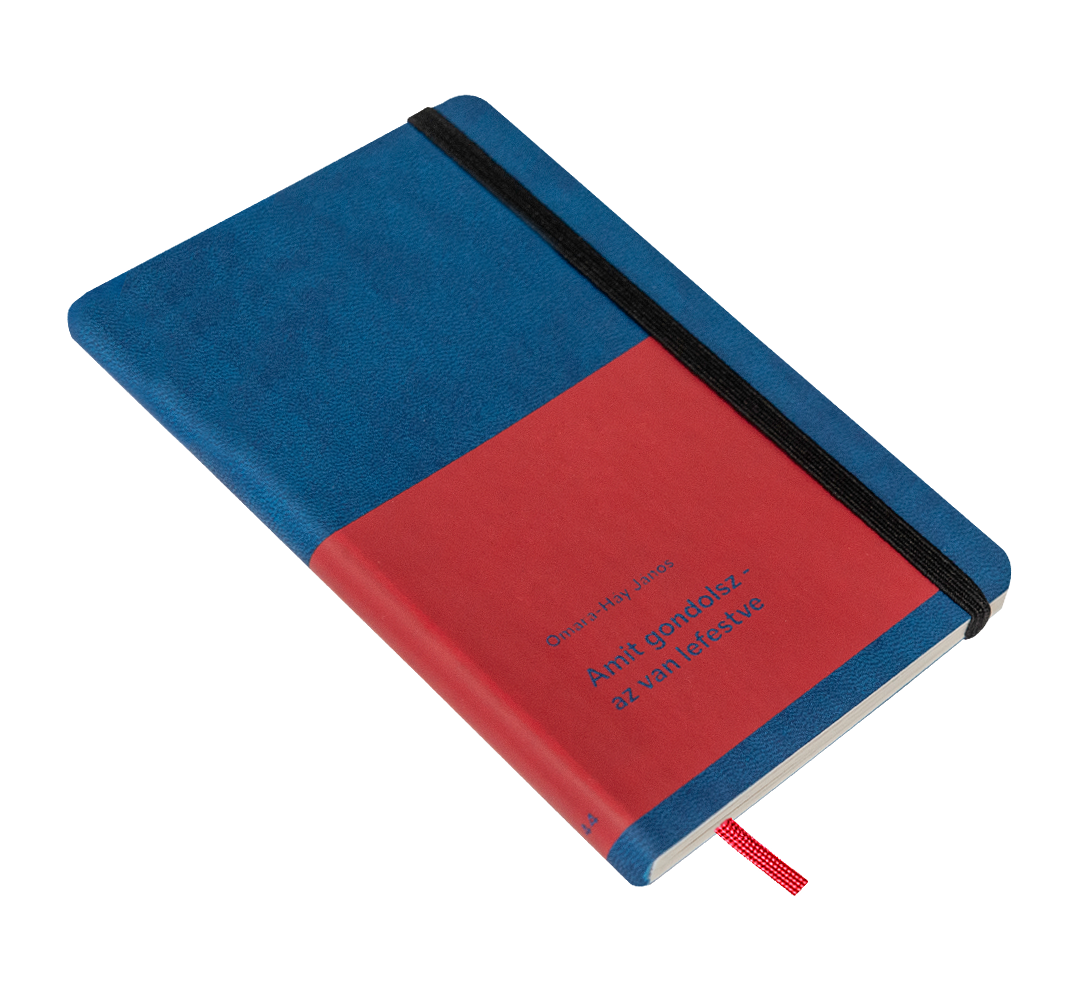 Amit gondolsz - az van lefestve book cover