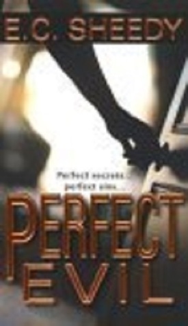 Perfect Evil book cover