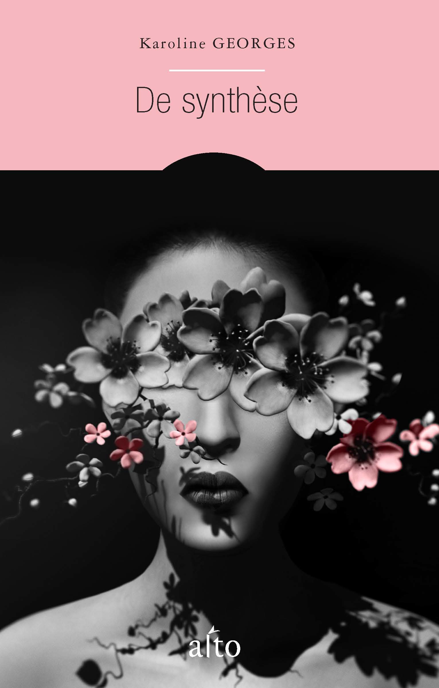 The Imago Stage book cover