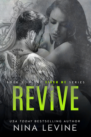 Storm MC book cover 3