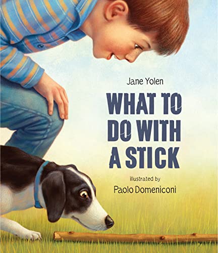 What to Do with a Stick book cover