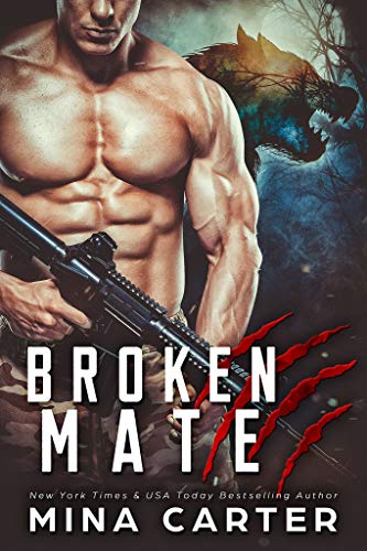 Broken Mate book cover