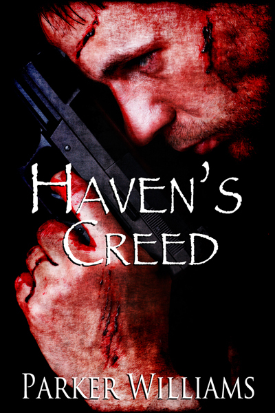 Safe Haven book cover 1