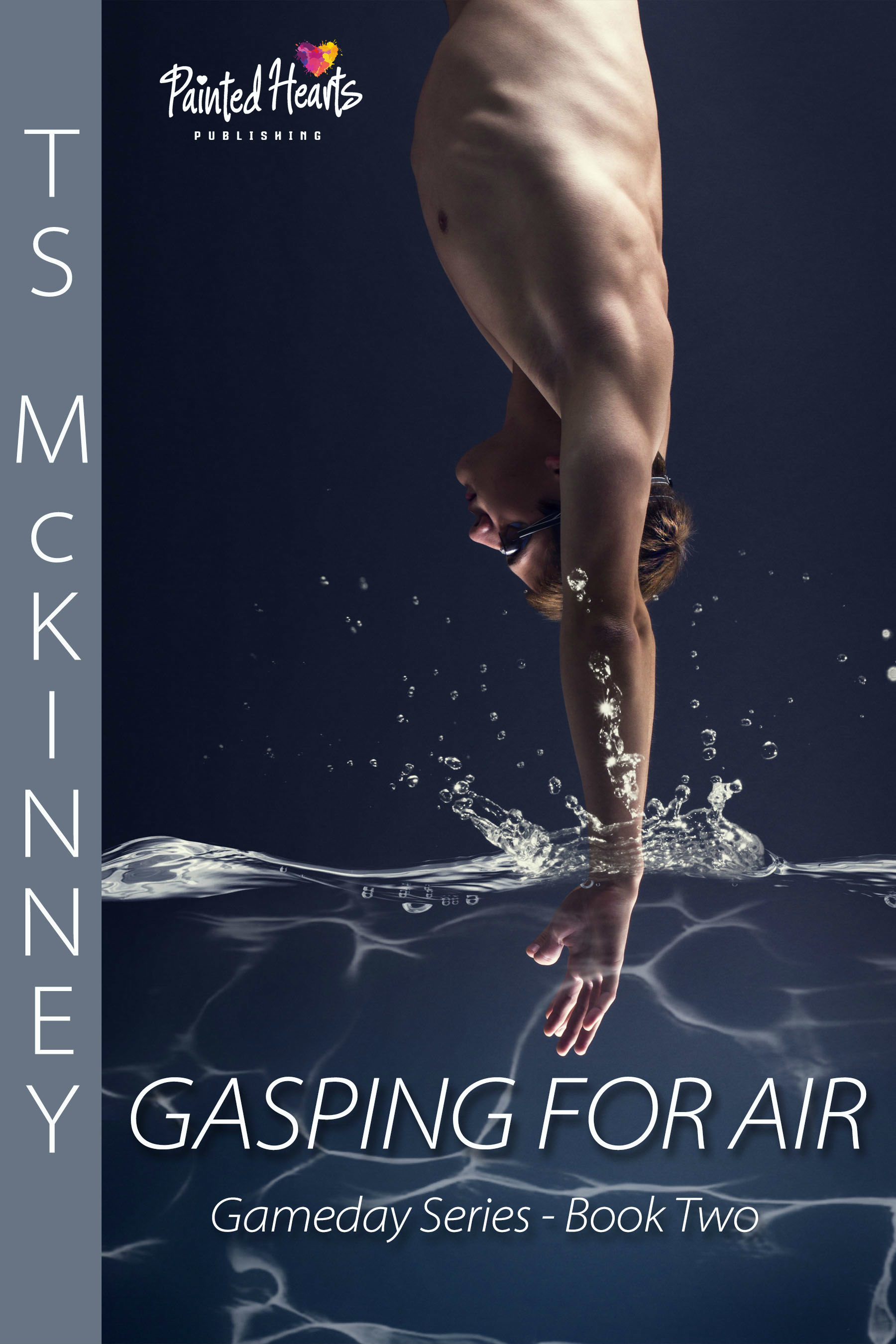 Game Day book cover 2