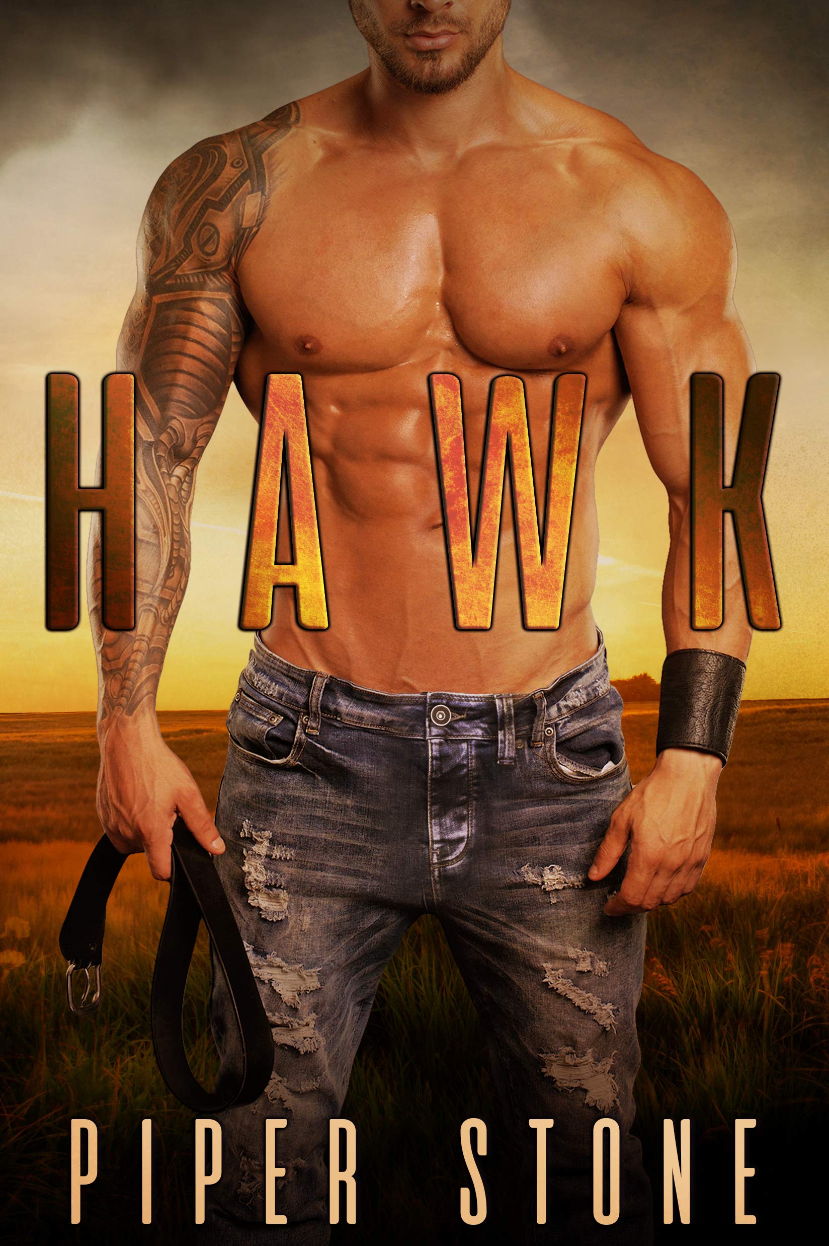 Montana Bad Boys book cover 1