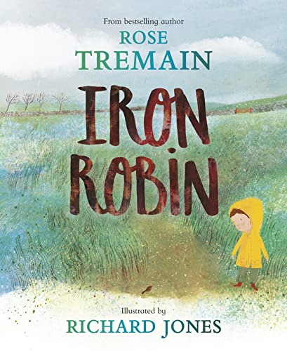 Iron Robin book cover