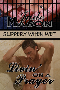 Slippery When Wet book cover 2