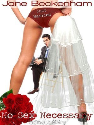 No Sex Necessary book cover