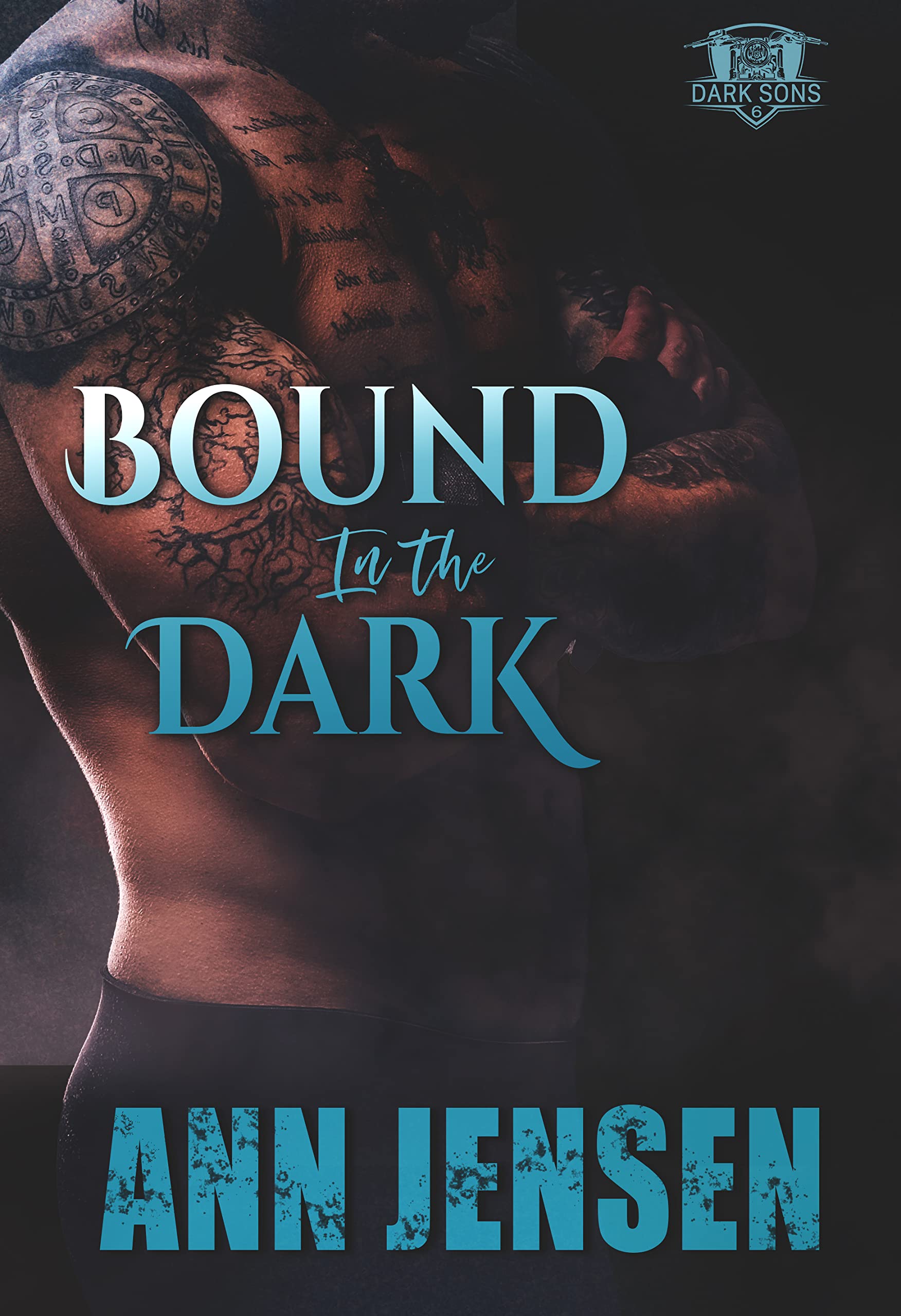 Bound in the Dark book cover