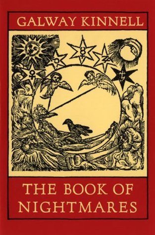 The Book Of Nightmares book cover