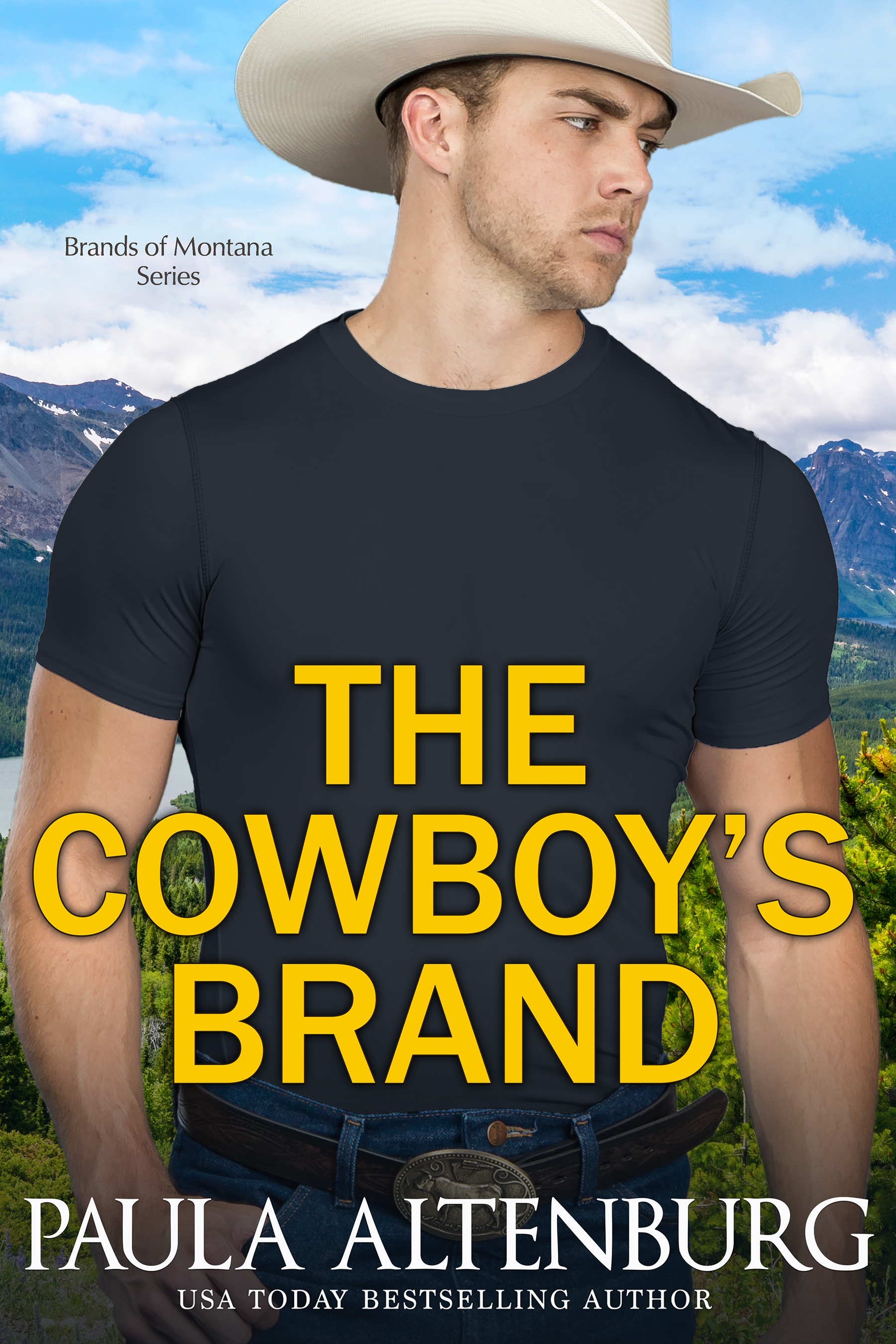 The Brands of Montana book cover 2