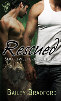 Southwestern Shifters book cover 1