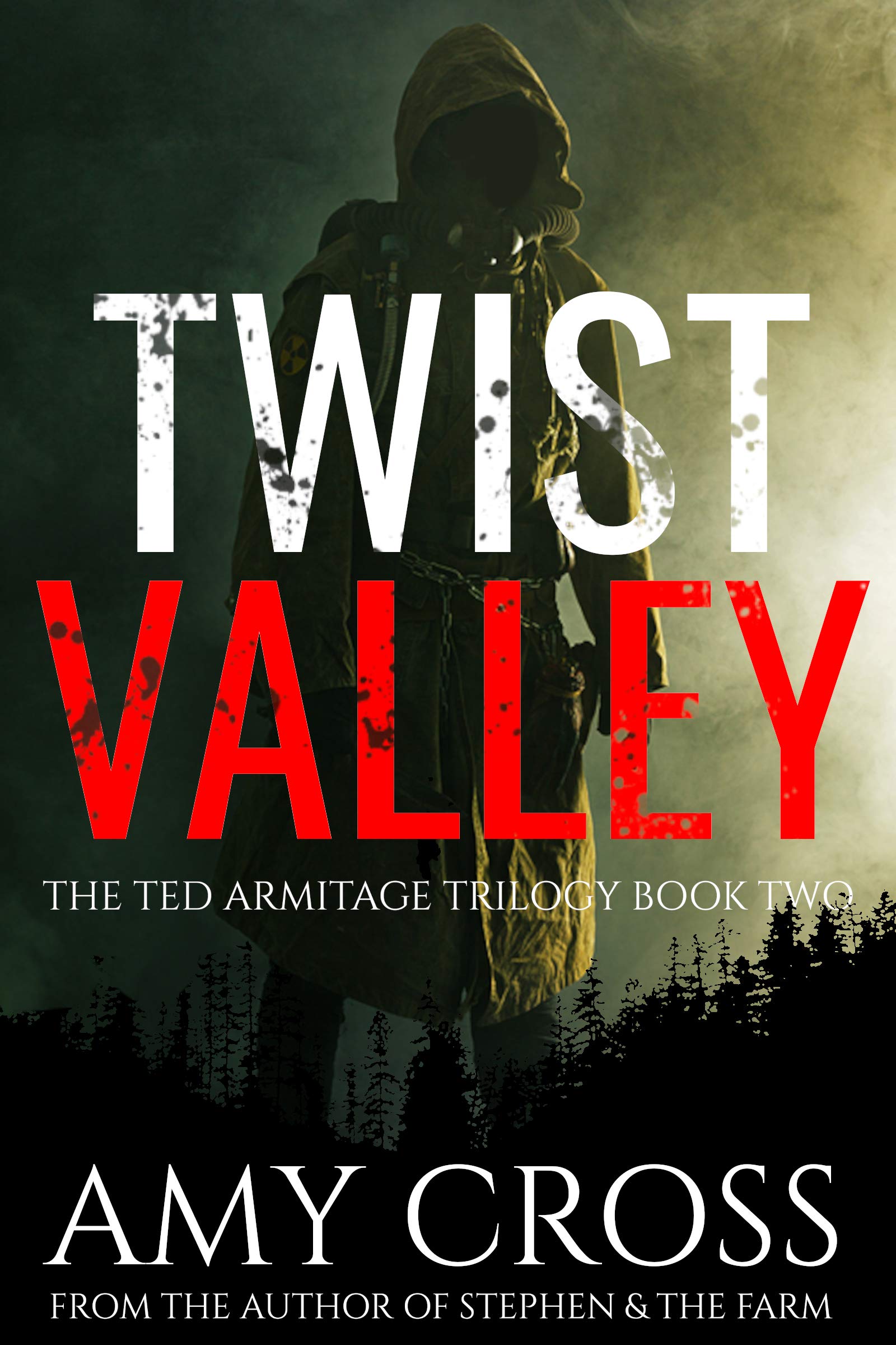 Twist Valley book cover