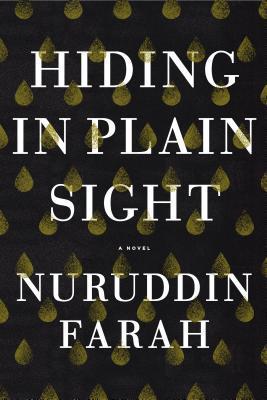 Hiding in Plain Sight book cover