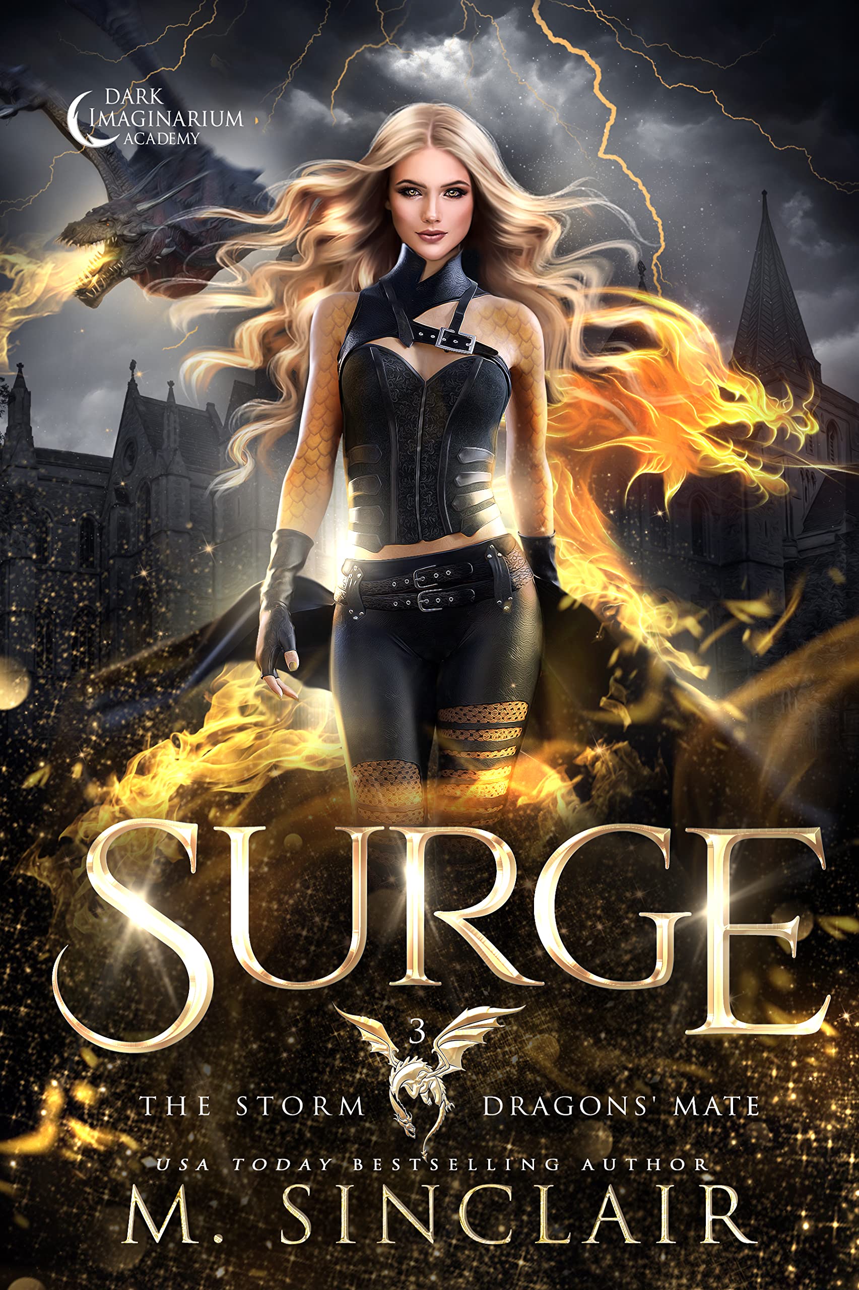 The Storm Dragons' Mate book cover 3