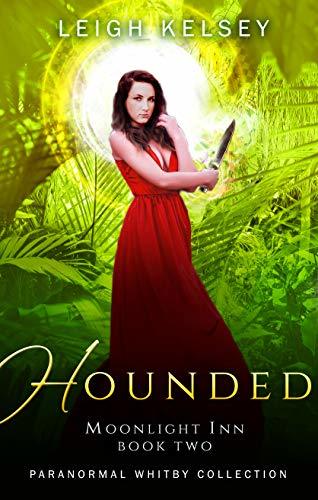 Moonlight Inn book cover 2