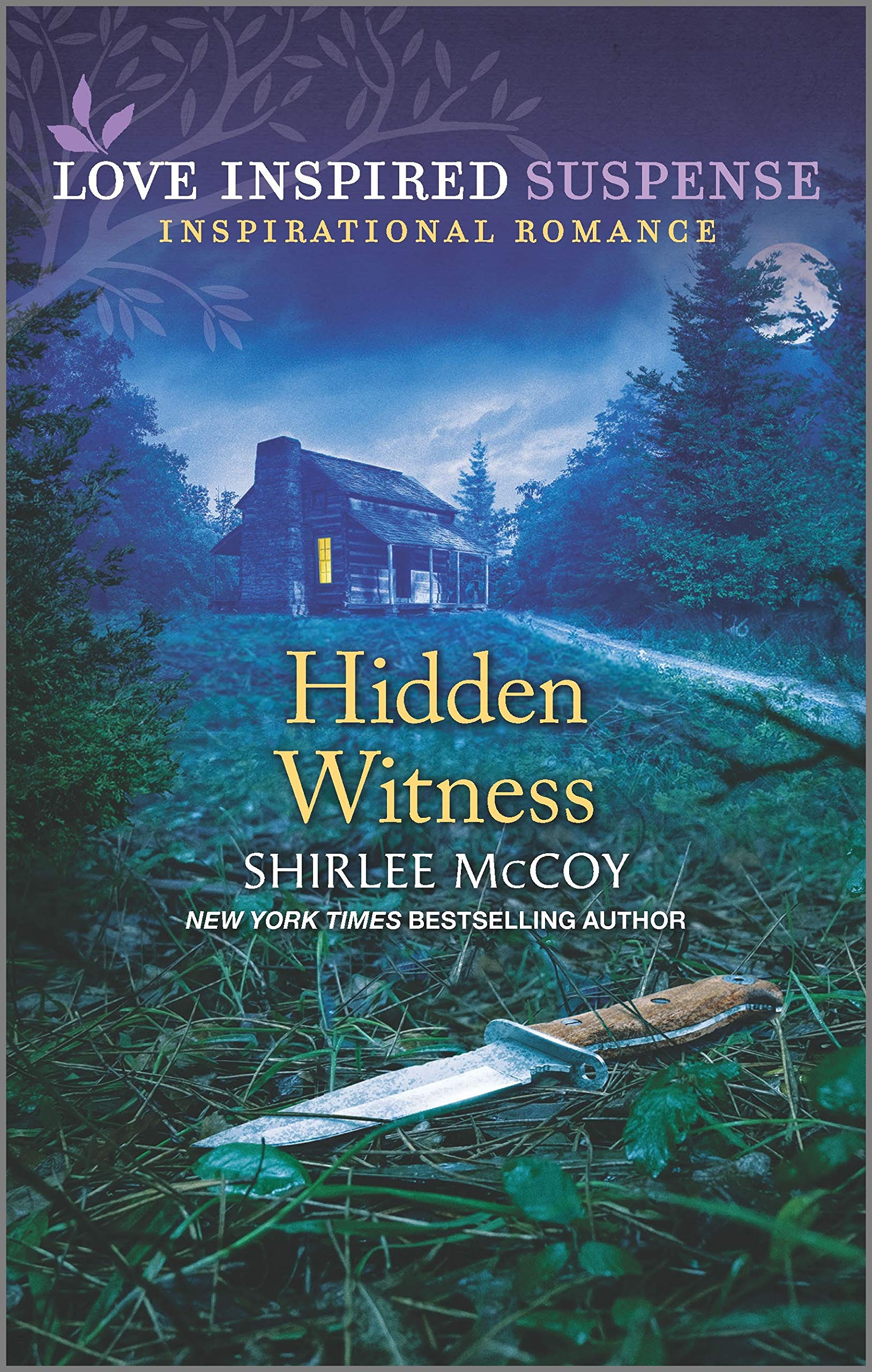 Hidden Witness book cover