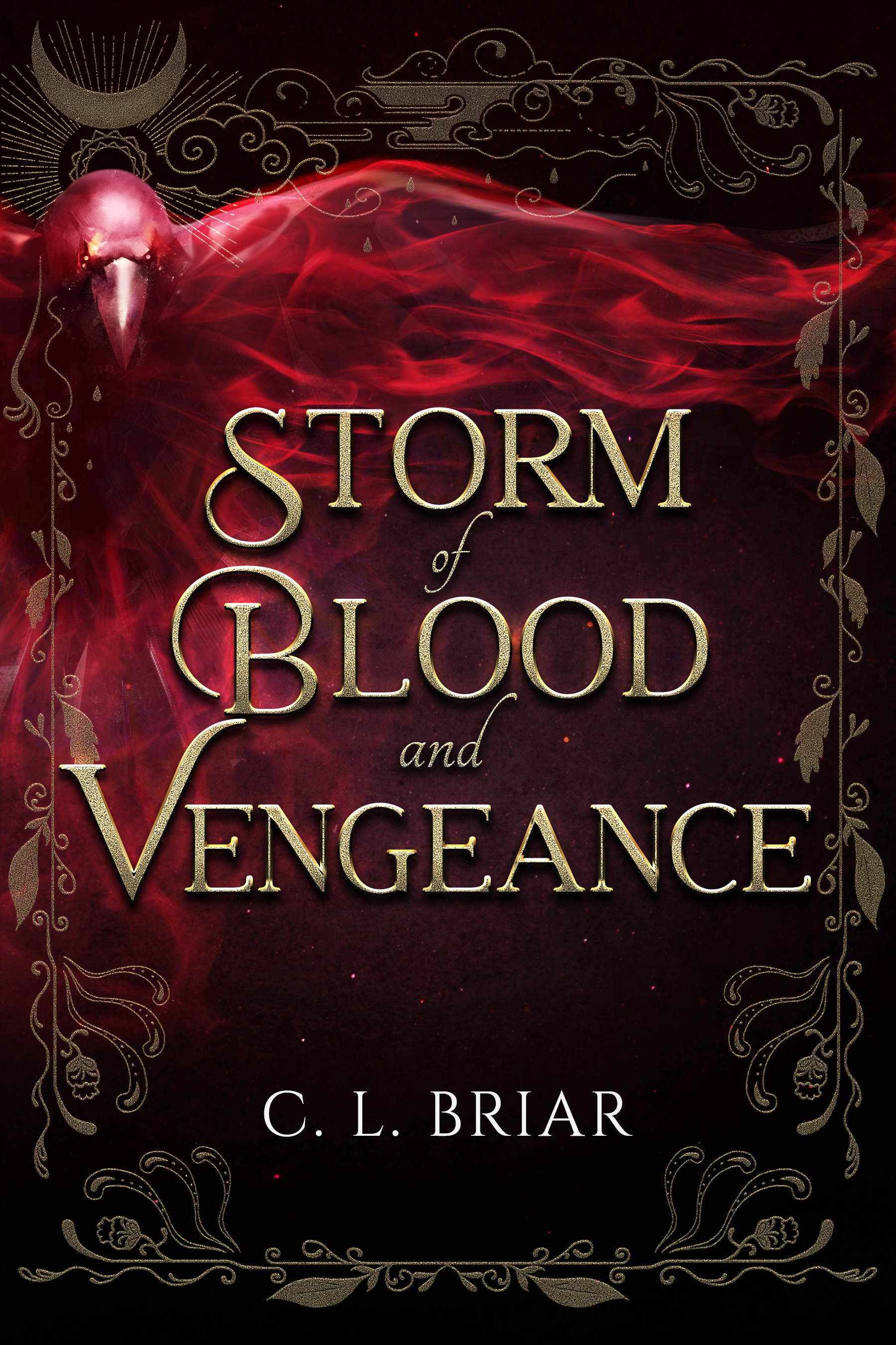 Storm of Chaos and Shadows book cover 2