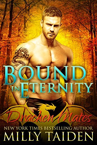 Drachen Mates book cover 3