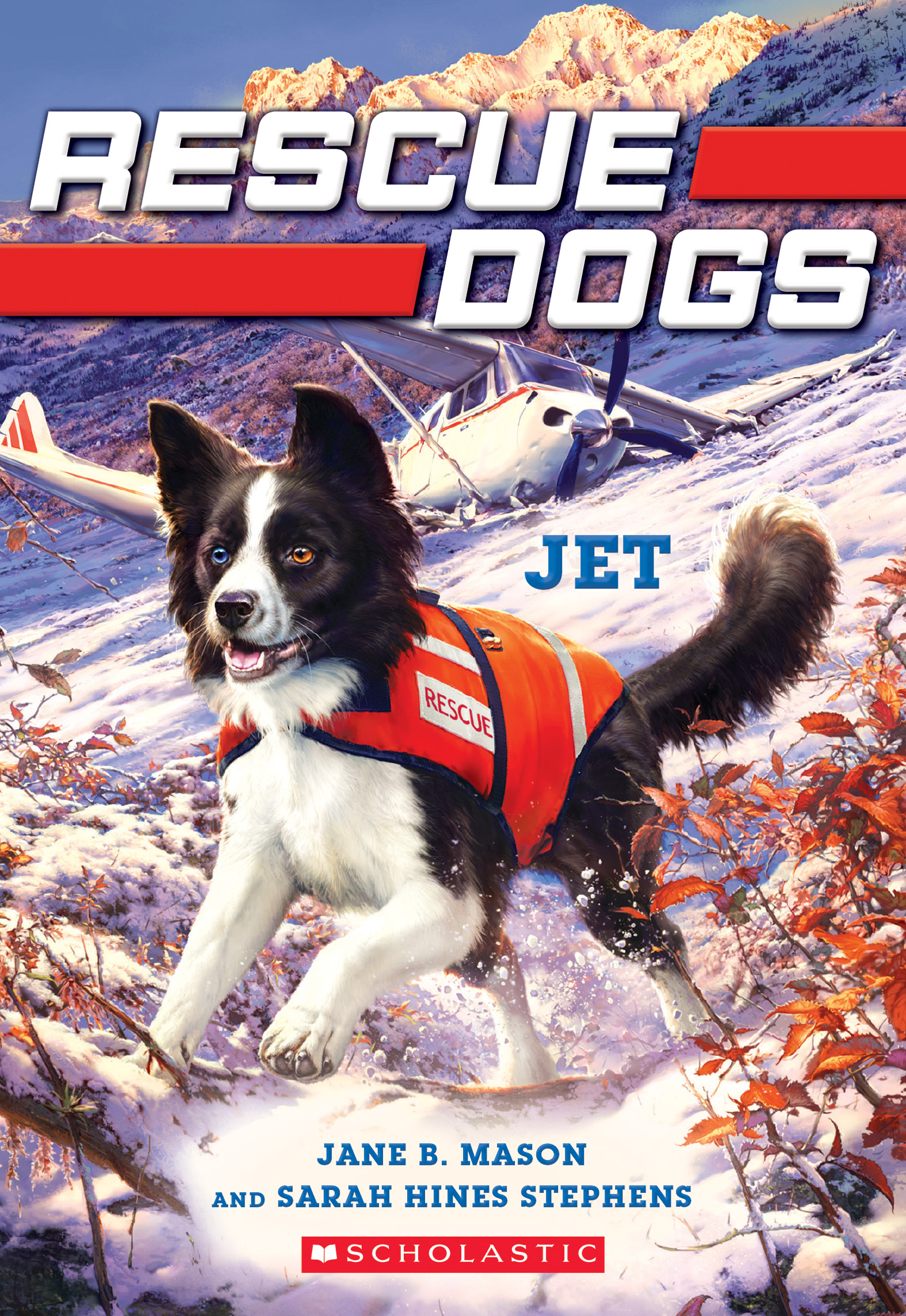 Rescue Dogs book cover 3
