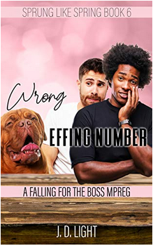 Wrong Effing Number book cover