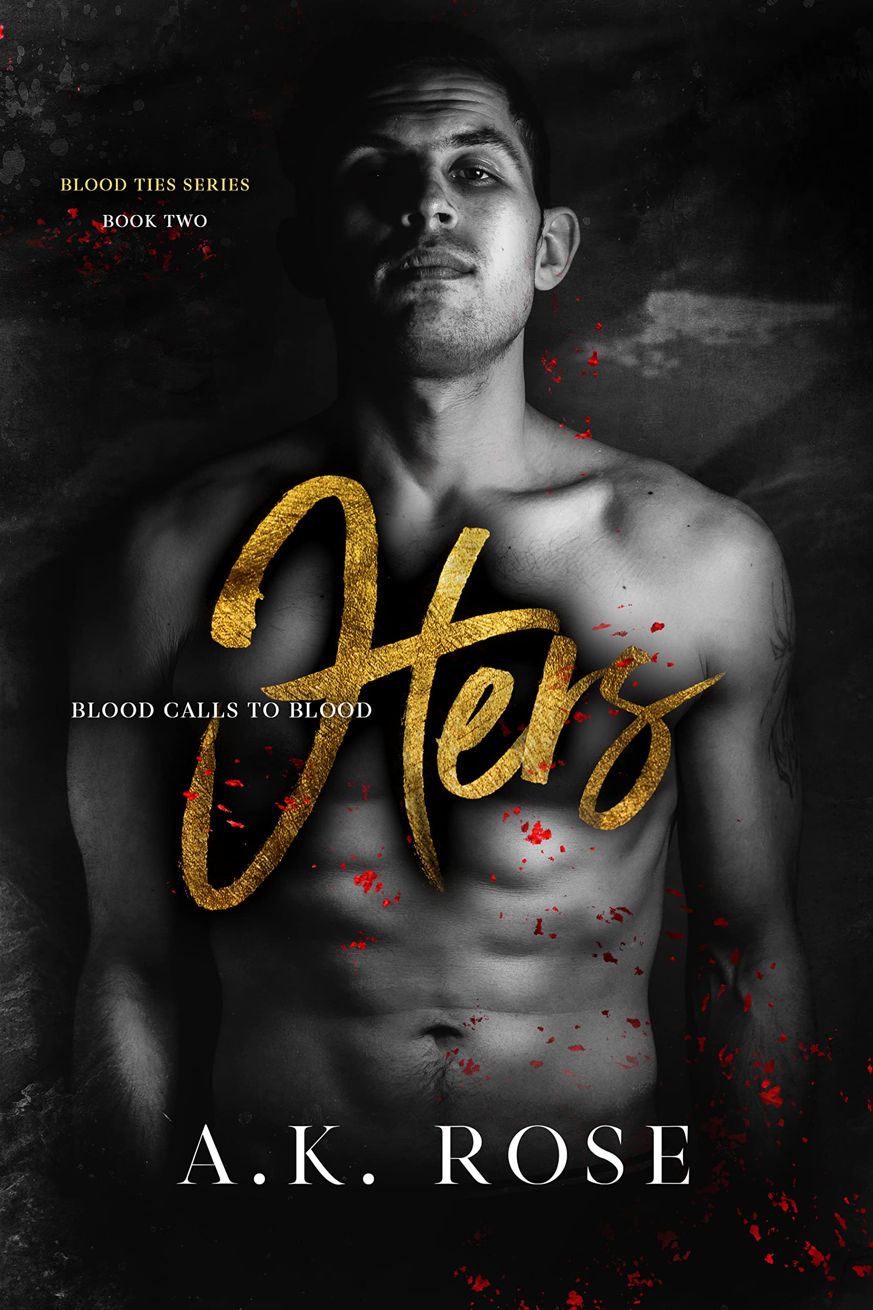 Blood Ties book cover 2