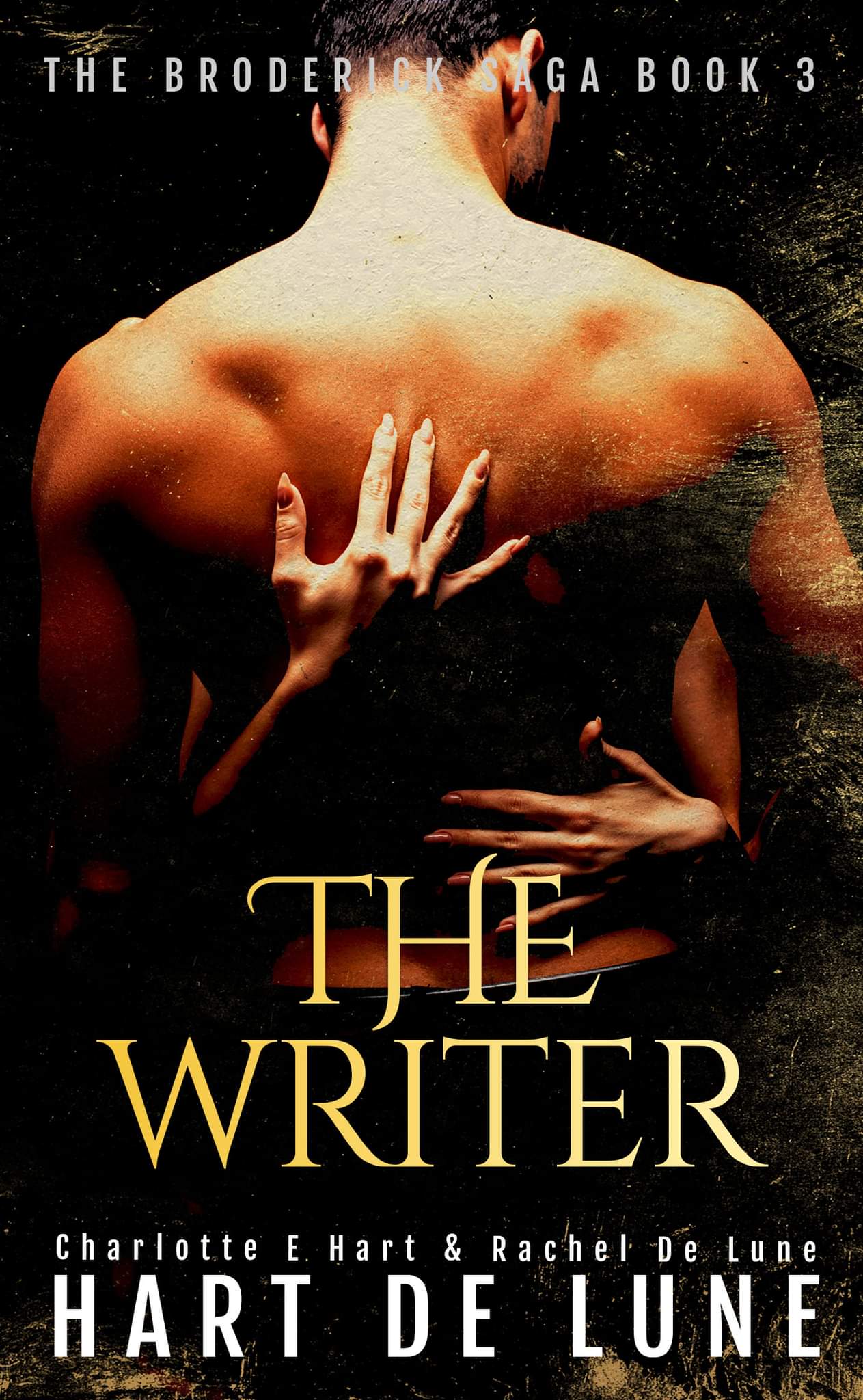 The Broderick Saga book cover 3