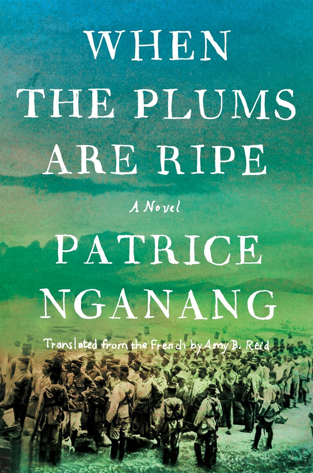 Cameroon book cover 2