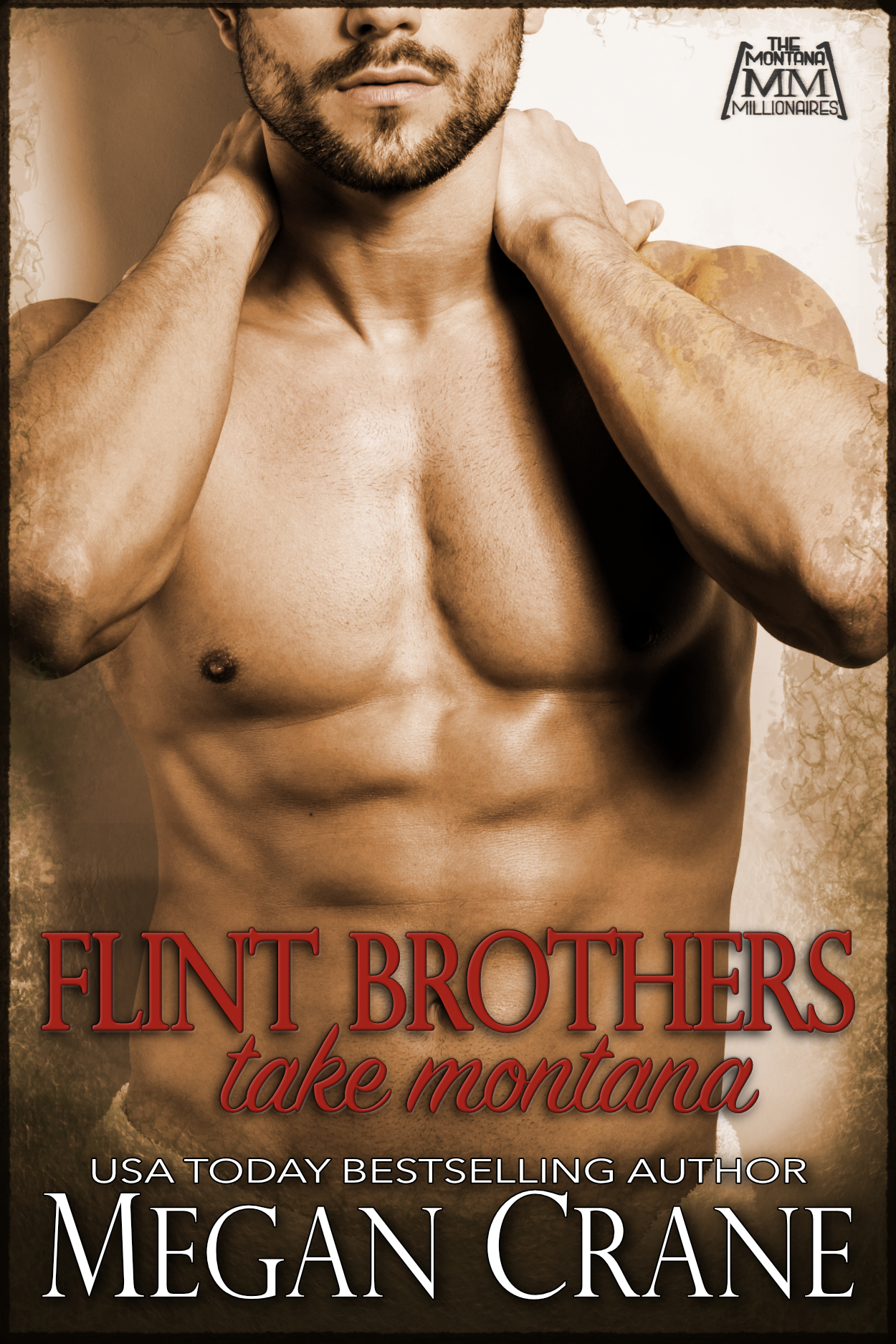 The Flint Brothers Take Montana book cover