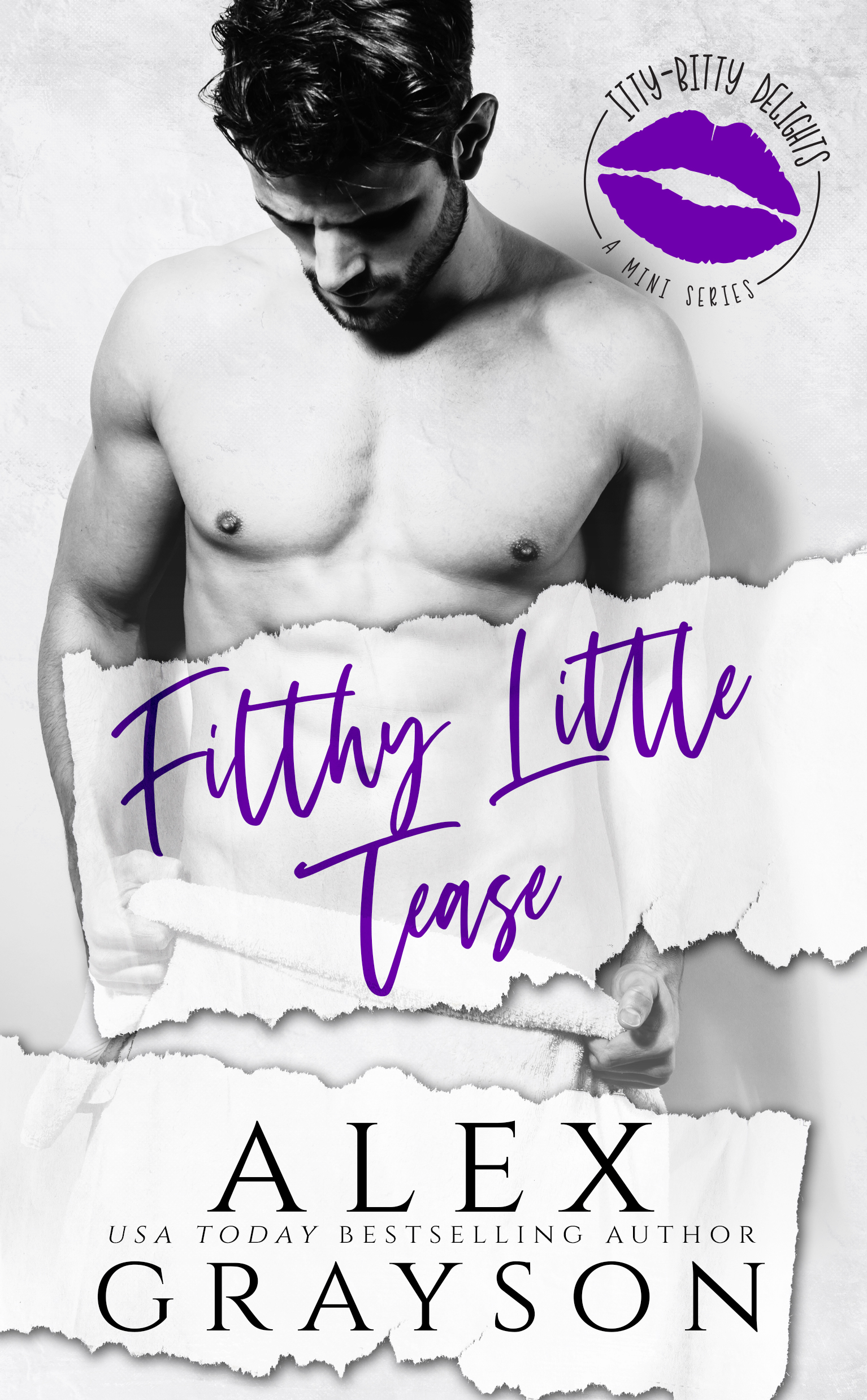 Itty Bitty Delights book cover 3