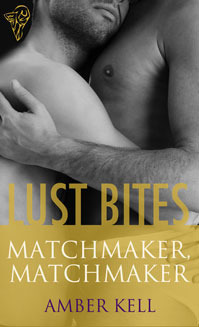 Matchmaker, Matchmaker book cover