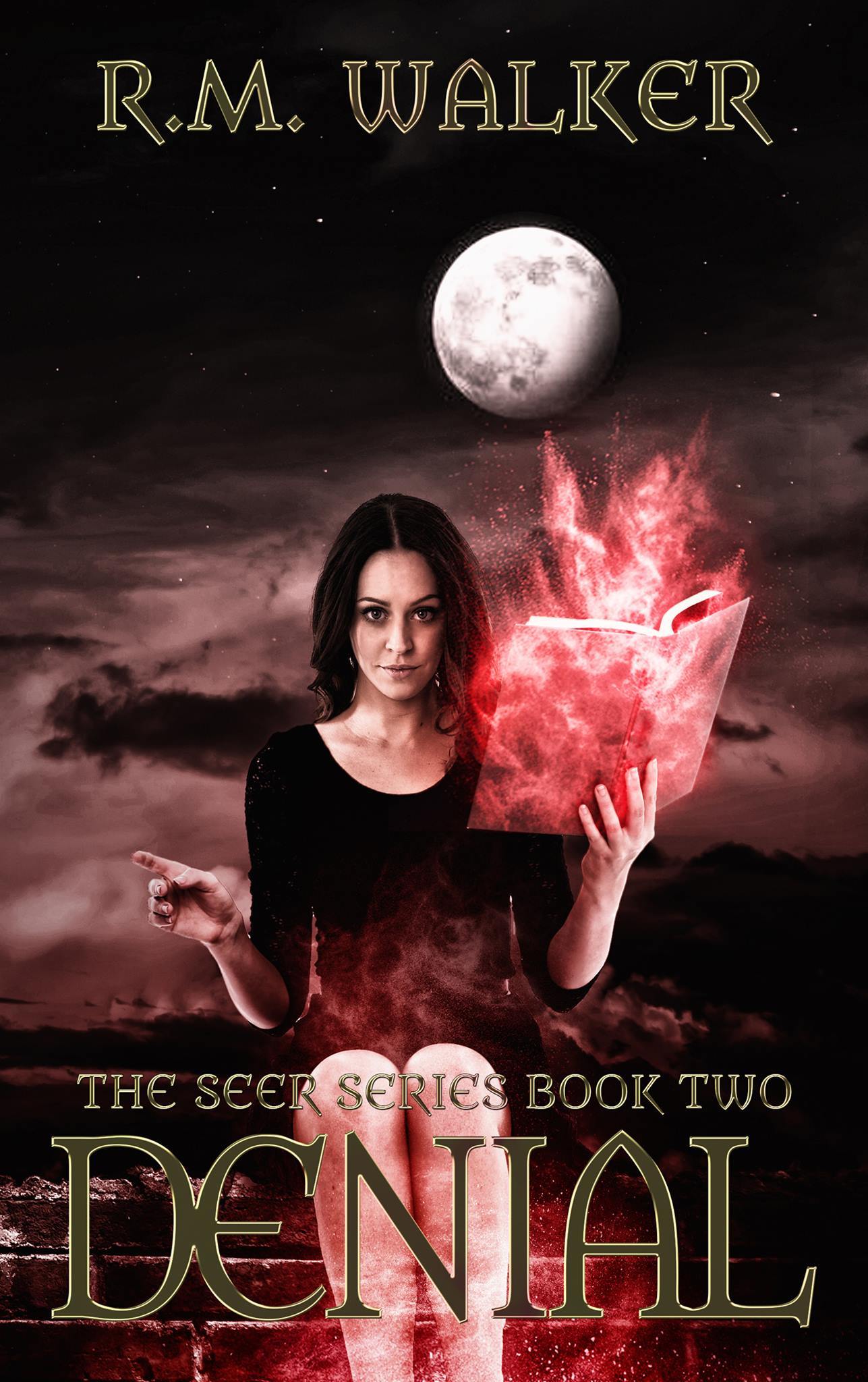 The Seer book cover 2