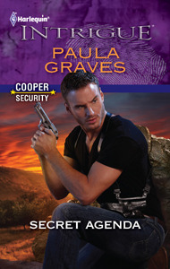 Cooper Security book cover 3