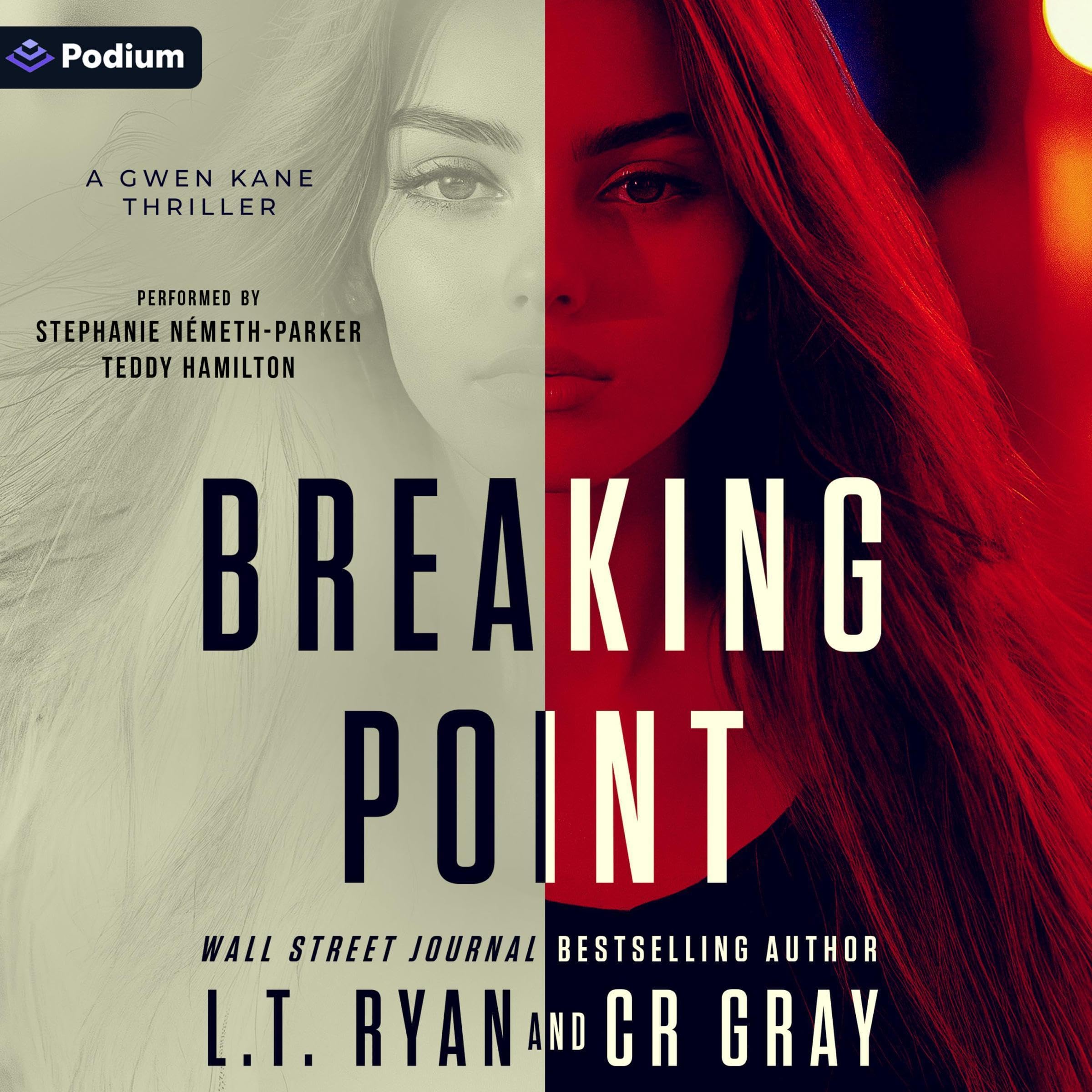 Breaking Point book cover