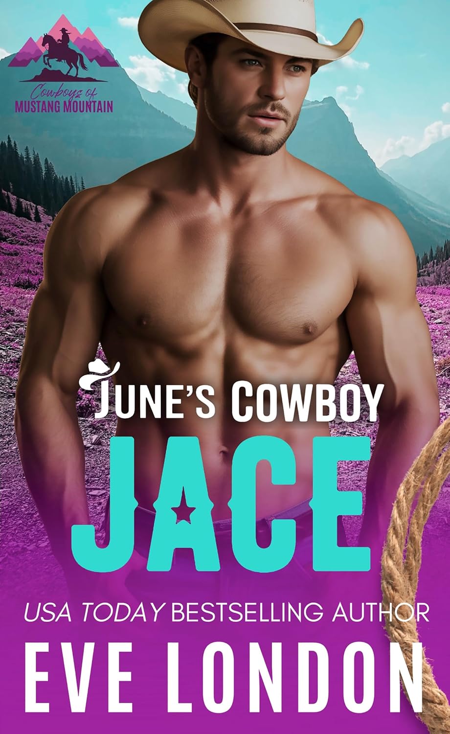June's Cowboy Jace book cover