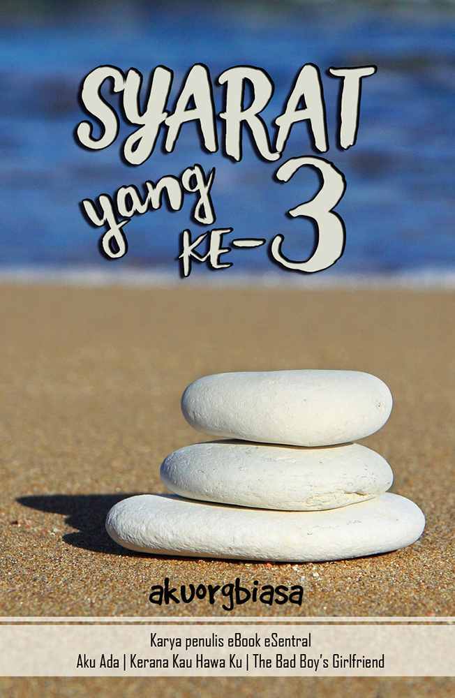Syarat Yang Ke-3 book cover
